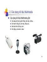 Bài giảng Công cụ Multimedia: Chương 2 - Trần Nguyên Ngọc