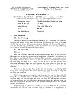 Chương trình đào tạo: Công nghệ phần mềm