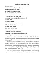 Không gian văn hóa Chăm (Học phần: MỘT SỐ VẤN ĐỀ  VỀ VĂN HÓA VIỆT NAM)