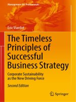 The timeless principles of successful business strategy corporate sustainability as the new driving force 