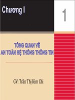 Bài giảng Nhập môn an toàn thông tin: Chương 1 - Trần Thị Kim Chi