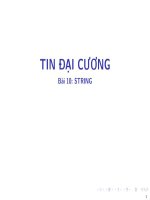 Bài giảng Tin học đại cương: Bài 10 - Bùi Thị Thu Cúc