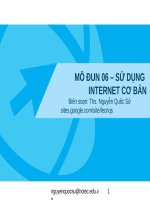 Bài giảng Kỹ năng sử dụng CNTT cơ bản: Mô đun 06 - ThS. Nguyễn Quốc Sử