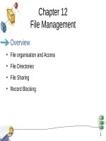 Lecture Operating system principles - Chapter 12: File management