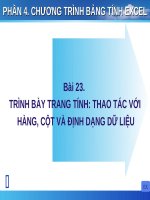 Bài giảng Chương trình bảng tính Excel - Bài 23: Trình bày trang tính: Thao tác với hàng, cột và định dạng dữ liệu