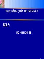 Bài giảng Thực hành Quản trị trên máy - Bài 5: Mô hình kinh tế