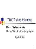 Bài giảng Tin học đại cương: Phần I (Chương 2, Phần 2) - TS.Nguyễn Bá Ngọc