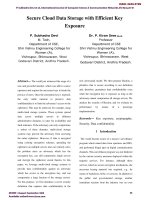 Secure cloud data storage with efficient key exposure