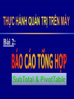 Bài giảng Thực hành Quản trị trên máy - Bài 2: Báo cáo tổng hợp (SubTotal & PivotTable)