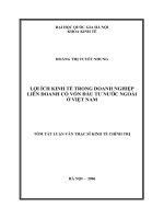 Lợi ích kinh tế trong doanh nghiệp liên doanh có vốn đầu tư nước ngoài ở việt nam 
