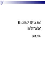 Lecture Computing for management - Chapter 6