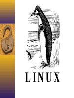 Bài giảng Hệ điều hành Linux - Bài 2: Các lệnh làm việc trên Linux