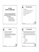 Bài giảng Nguyên lý hệ điều hành: Chương 10 - Phạm Quang Dũng