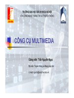 Bài giảng Công cụ Multimedia: Chương 1 - Trần Nguyên Ngọc