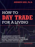 How to day trade for a living a beginners guide to trading tools and tactics 