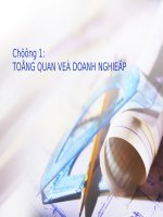 Tổng quan về doanh nghiệp