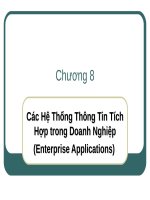 Chương 8: Các hệ thống thông tin tích hợp trong doanh nghiệp