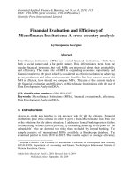 Financial evaluation and efficiency of microfinance institutions: A cross-country analysis