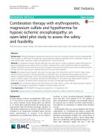 Combination therapy with erythropoietin, magnesium sulfate and hypothermia for hypoxic-ischemic encephalopathy: An open-label pilot study to assess the safety and feasibility