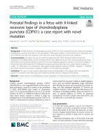 Prenatal findings in a fetus with X-linked recessive type of chondrodysplasia punctata (CDPX1): A case report with novel mutation
