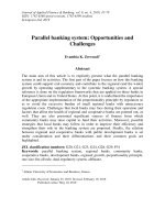 Parallel banking system: Opportunities and challenges