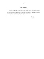 luận văn thạc sĩ năng lực cạnh tranh của công ty cổ phần đầu tư phát triển công nghệ bia rượu nước giải khát hà nội (HABECO ID) trên địa bàn hà nội 