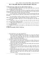 Bài giảng Pháp Luật Việt Nam đại cương: Bài 3 - Th.S Vũ Thị Bích Hường