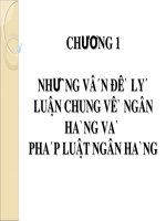 Bài giảng Luật Ngân hàng: Chương 1 - Những vấn đề lý luận chung về ngân hàng và pháp luật ngân hàng