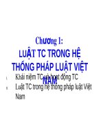 Bài giảng Chương 1: Luật TC trong hệ thống pháp luật Việt Nam