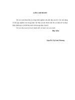 luận văn thạc sĩ hoạt động truyền thông marketing cho công tác tuyển sinh của trường đại học hòa bình 