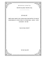 luận văn thạc sĩ triển khai chiến lược thâm nhập thị trường sản phẩm light beer của tổng công ty cổ phần bia – rượu – nước giải khát hà nội 