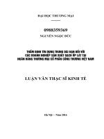 luận văn thạc sĩ thẩm định tín dụng trung dài hạn đối với các doanh nghiệp sản xuất gạch ốp lát tại ngân hàng thương mại cổ phần công thương việt nam 