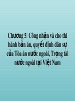 Bài giảng Tư pháp quốc tế - Chương 5: Công nhận và cho thi hành bản án, quyết định dân sự của Tòa án nước ngoài, Trọng tài nước ngoài tại Việt Nam