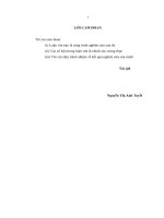 luận văn thạc sĩ quản lý nhà nƣớc về môi trƣờng đối với các làng nghề trên địa bàn tỉnh bắc ninh 