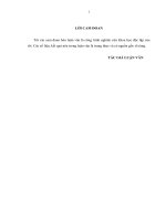 luận văn thạc sĩ hiệu quả sử dụng vốn kinh doanh tại công ty cổ phần thực ph m quốc tế ALPHA 