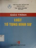 Giáo trình Luật tố tụng hình sự: Phần 1 - ThS. Trần Văn Sơn (chủ biên)