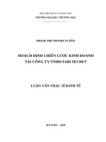 luận văn thạc sĩ hoạch định chiến lược kinh doanh tại công ty TNHH fabi secret 