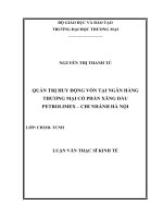 Quản trị huy động vốn tại ngân hàng thương mại cổ phần xăng dầu petrolimex  chi nhánh hà nội 