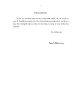 luận văn thạc sĩ xây DỰNG và QUẢNG bá HÌNH ẢNH sản PHẨM BPHONE của CÔNG TY cổ PHẦN BKAV tại THỊ TRƯỜNG VIỆT NAM 