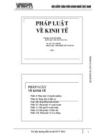 Bài giảng Pháp luật về kinh tế - TS. Lê Văn Hưng