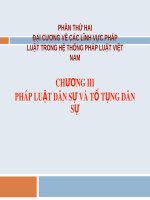 Bài giảng Pháp luật đại cương: Chương 3 - ThS. Nguyễn Hữu Lạc