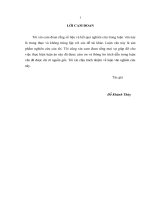 luận văn thạc sĩ phát triển hoạt động e marketing tại công ty TNHH thương mại và dịch vụ LANLINH 