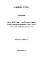 luận văn thạc sĩ phát triển dịch vụ thẻ tại ngân hàng nông nghiệp và phát triển nông thôn việt nam   chi nhánh bắc hà nội 