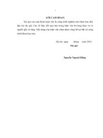 luận văn thạc sĩ hiệu quả sử dụng vốn tại công ty trách nhiệm hữu hạn một thành viên cơ khí 17 (z117) thuộc bộ quốc phòng 