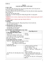 GIÁO ÁN PTNL LỚP 5 TUAN 11