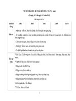 Giáo án Mùa xuân Chủ đề Tết mùa xuân Lớp lá