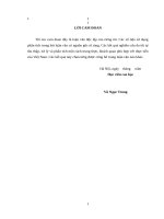 luận văn thạc sĩ chiến lƣợc cạnh tranh của công ty TNHH thƣơng mại và dịch vụ kỹ thuật nhật cƣờng 