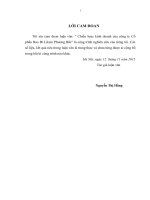 luận văn thạc sĩ chiến lược kinh doanh của công ty cổ phần bao bì liksin phương bắc 