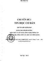 Tài liệu bồi dưỡng kiến thức và kỹ năng công nghệ thông tin cho cán bộ công chức xã khu vực đồng bằng – Chuyên đề 1