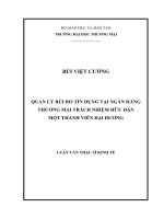 luận văn thạc sĩ quản lý rủi ro tín dụng tại ngân hàng thương mại trách nhiệm hữu hạn một thành viên đại dương 